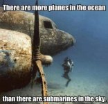 FB_IMG_1688034182968.jpg