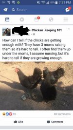 IMG_9881.jpeg