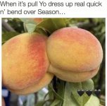 IMG_0031.jpeg