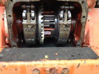 IMG_0411.jpeg