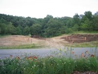 IMG_21woods1.jpg