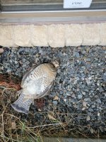 20231224_151556.jpg 20231224_151556.jpg