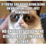 IMG_5256.jpeg