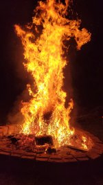 20240907_210332.jpg 20240907_210332.jpg