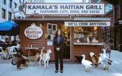 IMG_4088.jpeg IMG_4088.jpeg