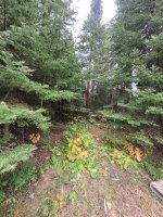 20240912_110038.jpg 20240912_110038.jpg