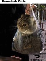 IMG_4136.jpeg IMG_4136.jpeg