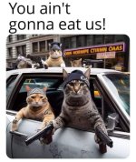 IMG_4132.jpeg IMG_4132.jpeg