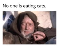 IMG_4175.jpeg IMG_4175.jpeg