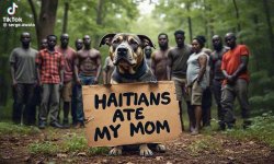 IMG_4108.jpeg IMG_4108.jpeg