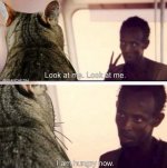 IMG_4202.jpeg IMG_4202.jpeg