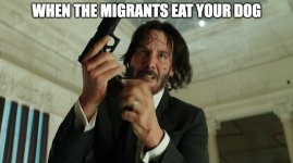 IMG_4234.jpeg IMG_4234.jpeg