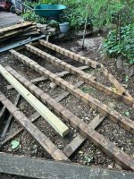 1727801796926.jpeg 1727801796926.jpeg