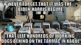 IMG_5745.jpeg