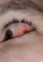 20250101_073046~2.jpg 20250101_073046~2.jpg