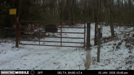 1735853287314.png 1735853287314.png