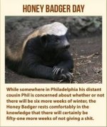 IMG_8234.jpeg