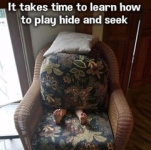 1740177541063.png