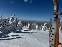 Crazy Snow.JPEG