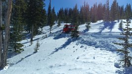 IMG_20250225_115417_509[1].jpg