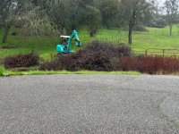 IMG_2717.jpeg IMG_2717.jpeg