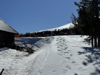 IMG_6175.jpeg