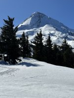 IMG_6176.jpeg