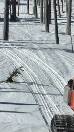 IMG_6210.jpeg
