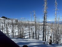 IMG_6245.jpeg