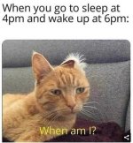 1000021761.jpg