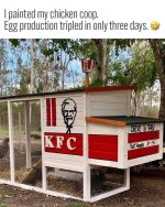 Funny972.jpg