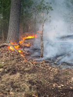 1742929362809.png 1742929362809.png