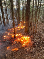 1742929408977.png 1742929408977.png