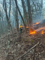 1742929794686.png 1742929794686.png