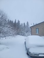 20250402_193706.jpg