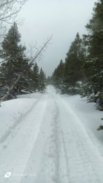 IMG_20250403_162751_559.jpg