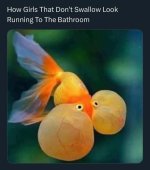 IMG_0071.jpeg
