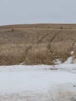 20250419_082924.jpg 20250419_082924.jpg