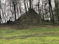 IMG_1722.jpeg
