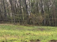 IMG_1720.jpeg