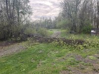 IMG_1731.jpeg