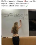 IMG_0909.jpeg