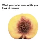 FB_IMG_1746993364552.jpg