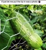 IMG_1012.jpeg