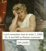 1000033919.jpg