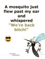 FB_IMG_1748430898722.jpg