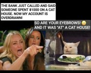 atcathouse.jpeg