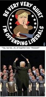 offendingliberals.jpeg