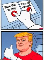 savecountry.jpeg