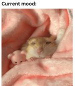 currentmood.jpg